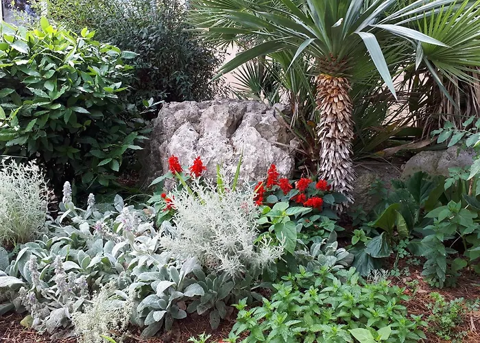 8241e Διαμέρισμα Ugljan